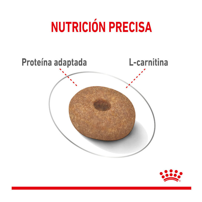 Royal Canin Mini Light Weight Care ração para cães, , large image number null